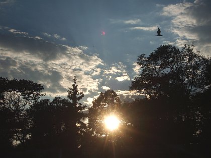 Sunset at the sea