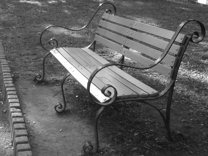 A bench in the park