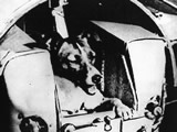 Laika dog on Sputnik-2 satellite (NYTimes photo)