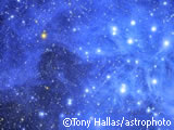 Pleiades and Stardust (photo at APOD)