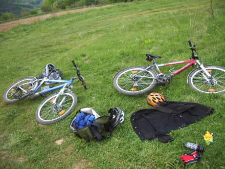 Bikes on grass