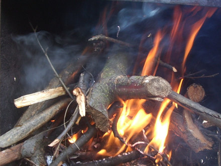 Bright fire in the winter...