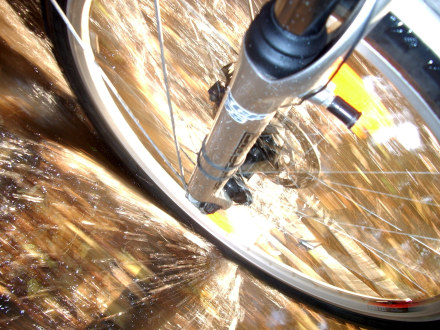 Bike wheel in the rain (and sun)