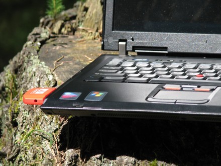 IBM ThinkPad R50 on a tree...