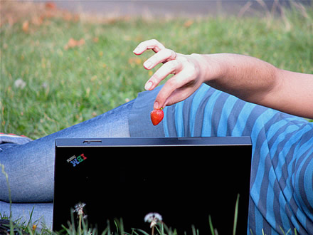 Ягоди в парка, ThinkPad и залязващо слънце
