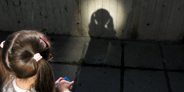 Princess Leia and her shadow