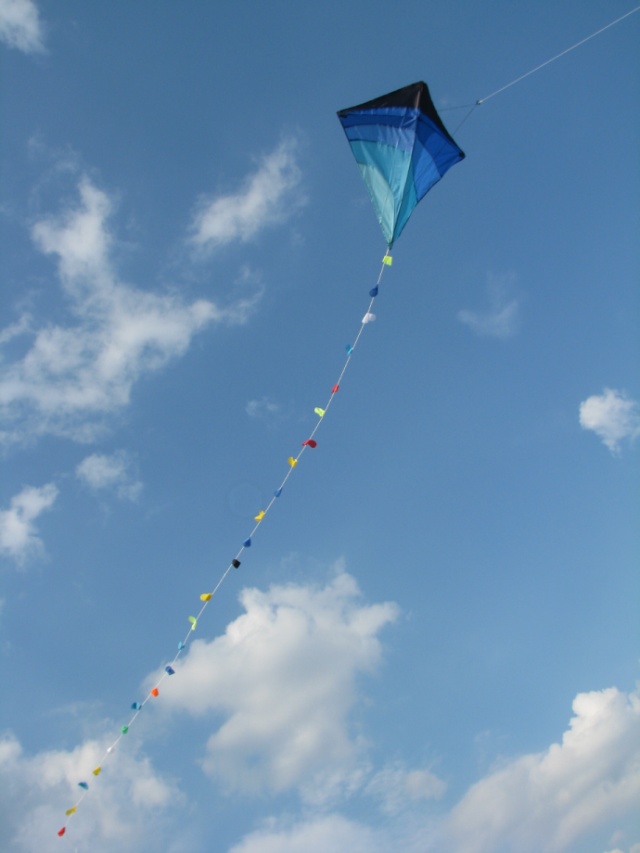 Kite in the sky