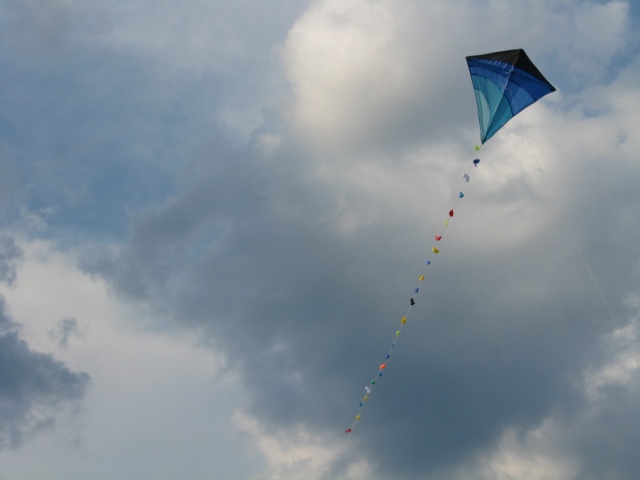 Kite in the sky