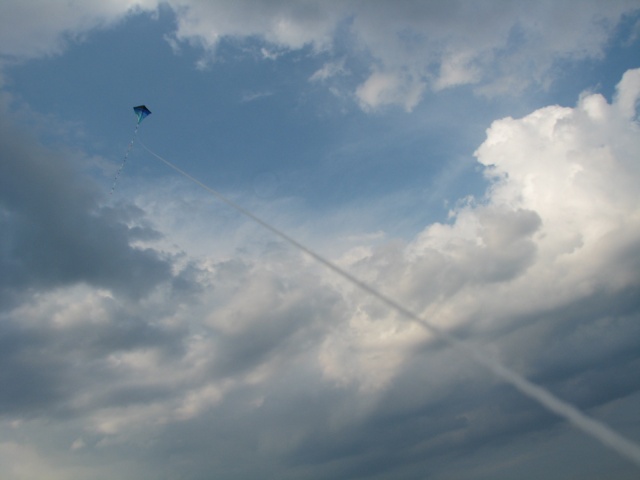 Kite in the sky