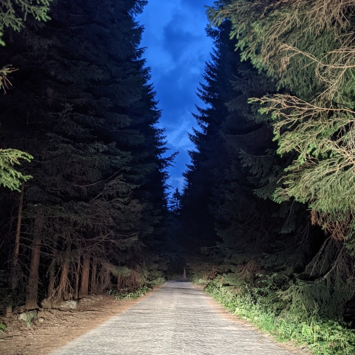 Vitosha, the plateau above Kumata chalet