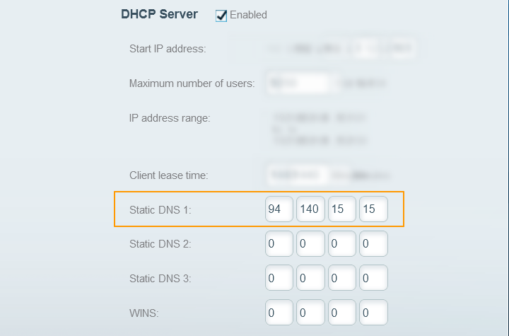 Setting a custom DNS server in your router's web page.